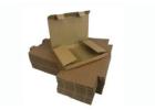 Buy High-Quality Envelope Boxes | Packaging Now