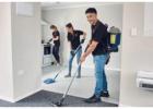 Best Service For Carpet Cleaning in Feltham