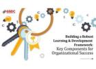 Building a Robust L&D Framework: Key Components for Organizational Growth